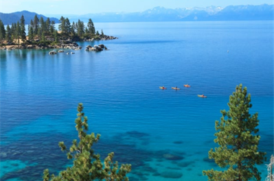 Image representing Healing Wild Trip