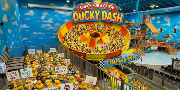 Image representing Quack for a Cause Ducky Dash